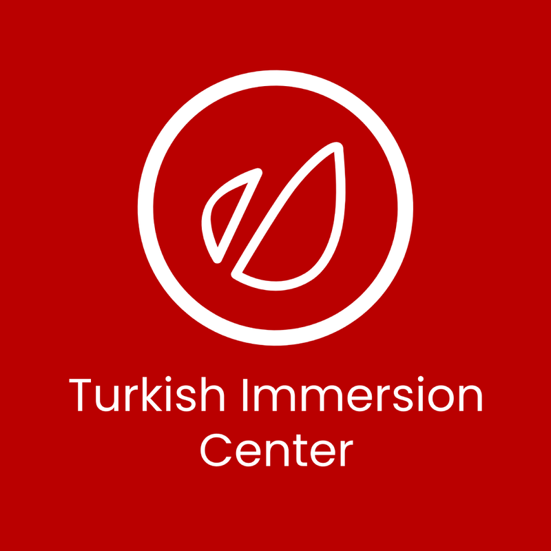 Turkish Classes Online - 30 Hours + up to 70 hours Turkish practice