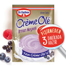 Dr.Oetker Forest Fruit Creme Ole (Orman Meyveli) 89g