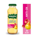 Doğadan Anti-ox Iced Tea (Soğuk Çay Cam) 250ml