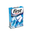 First Cool Ice Sugar-Free Mint Gum (Buz Serinliği Nane Aromalı Sakız) 20g